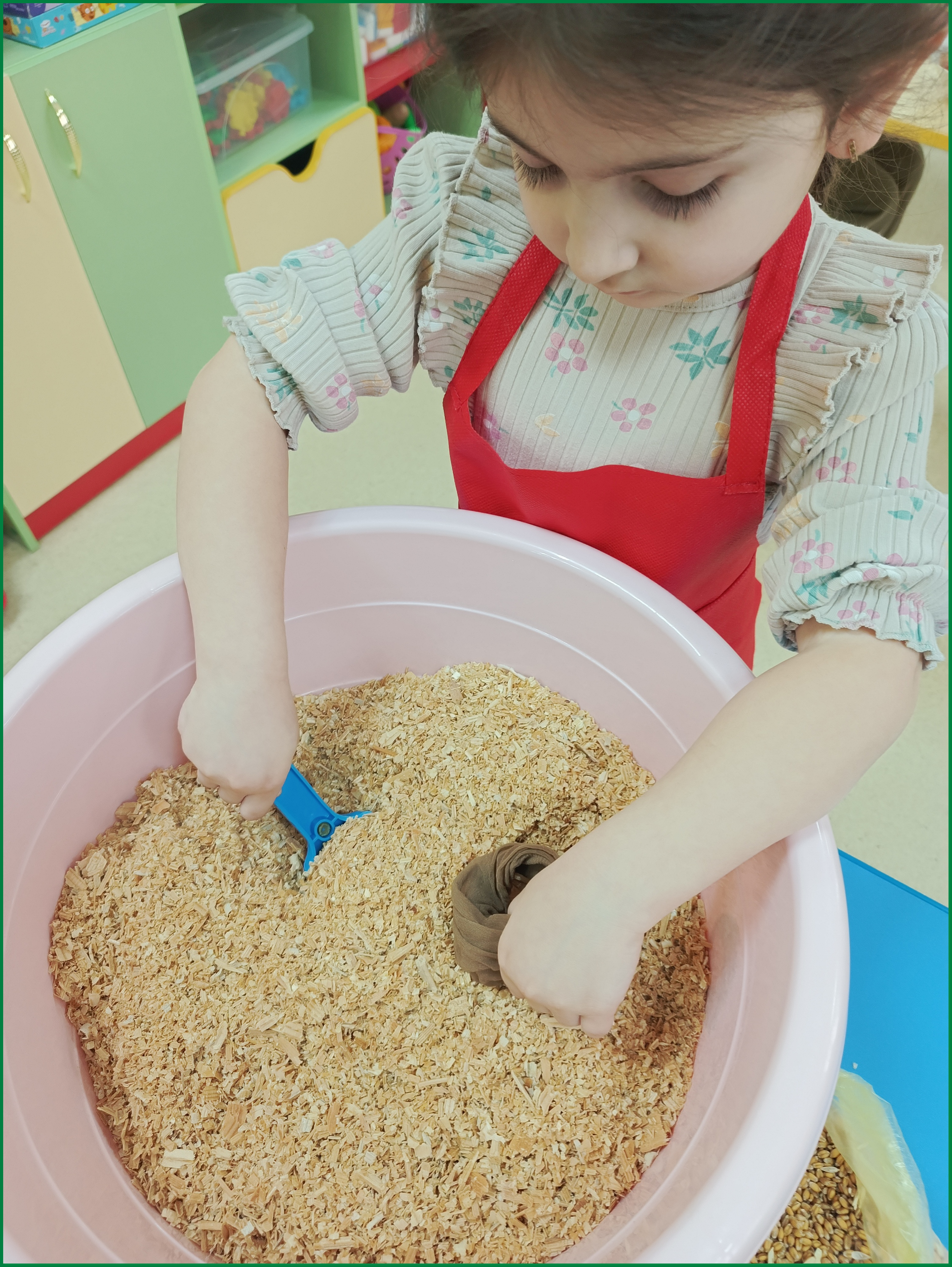 sad ogorod 15